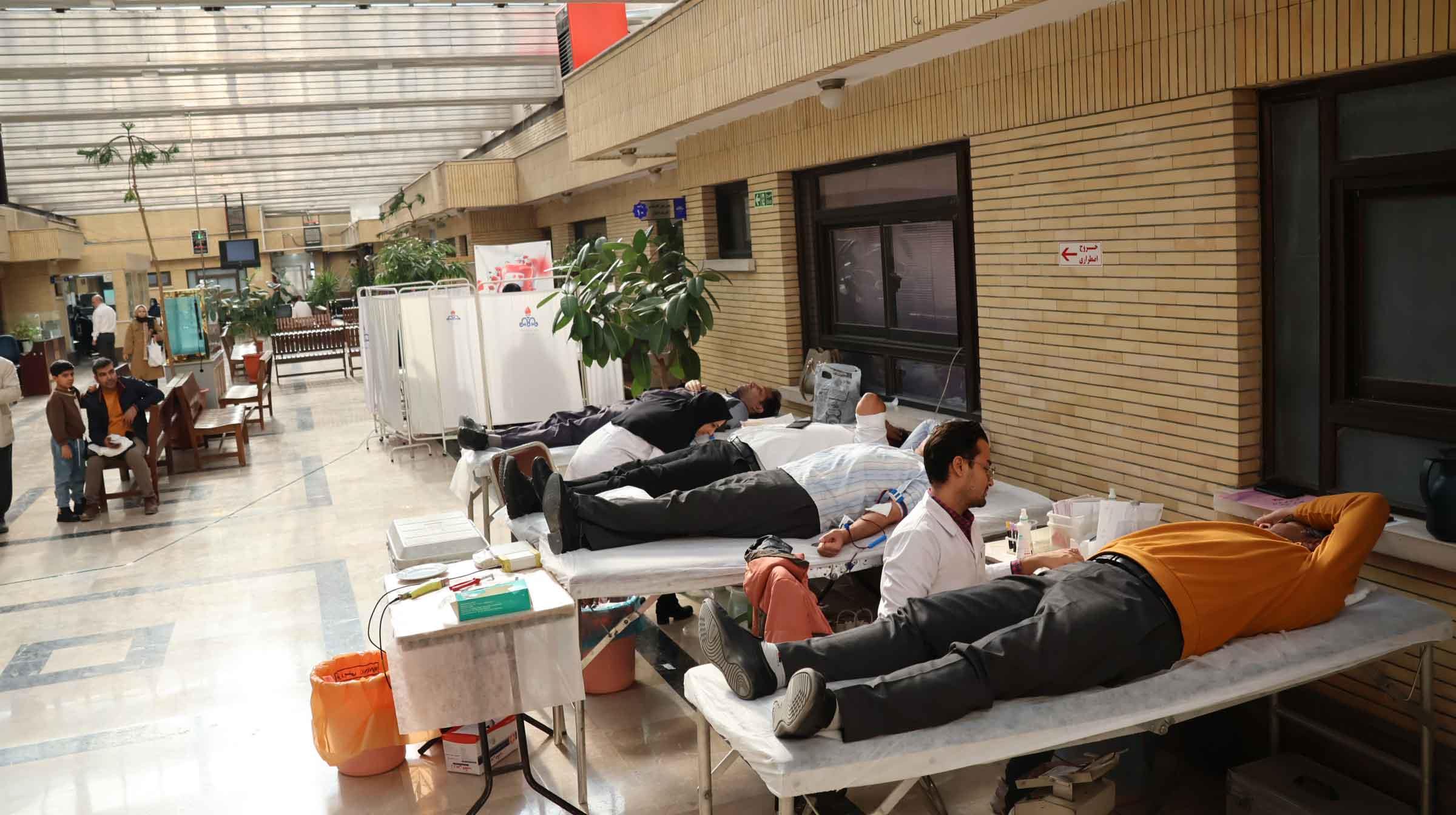 انتقال خون  مشهد و سرخس 2