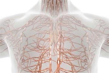 لنفوم؛ سرطان سیستم لنفاوی با علائم پنهان و روش‌های درمانی موثر